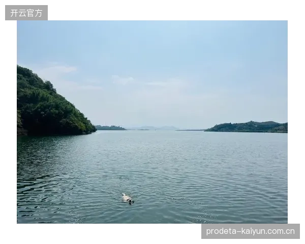 千岛湖借助亚运会“长尾效应”，布局帆船中心与桨板节，深化了“体育赛事拉动地方文旅”的运营闭环